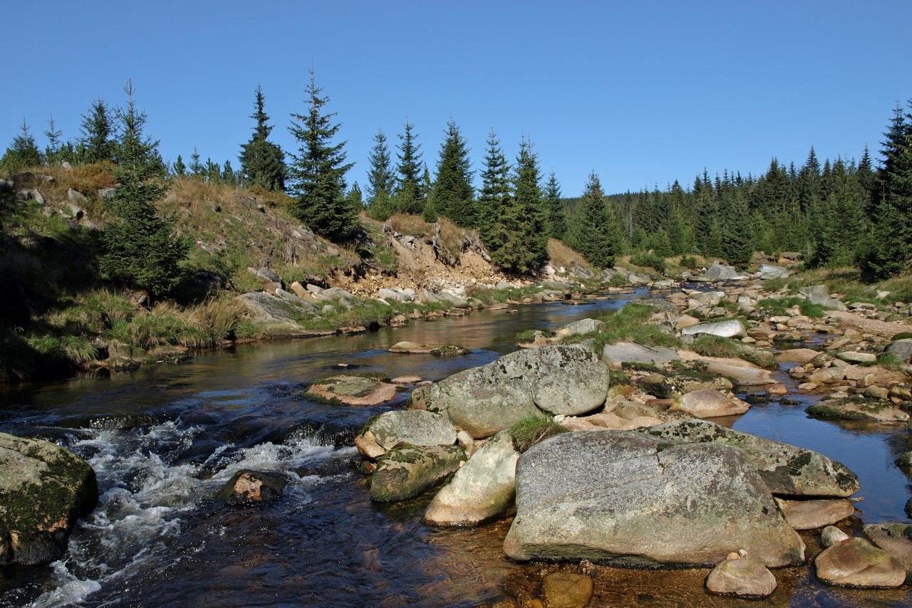 Řeka Jizera - horní tok s kameny protékající lesy Jizerských hor