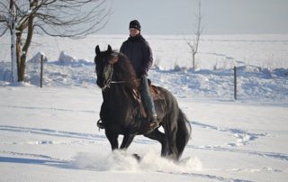 Kůň a jezdec v zasněžené krajině - Jizerské hory