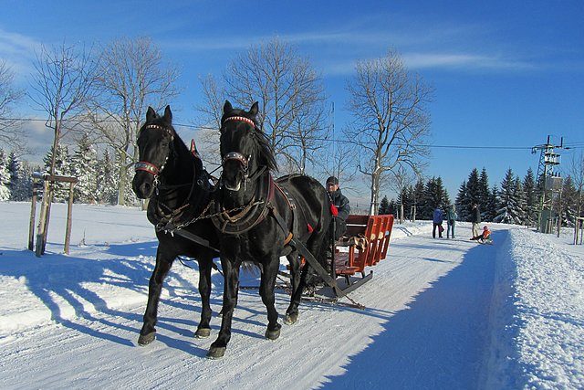 Zimní projížďka v kočáře s koňským spřežením – Jizerské hory